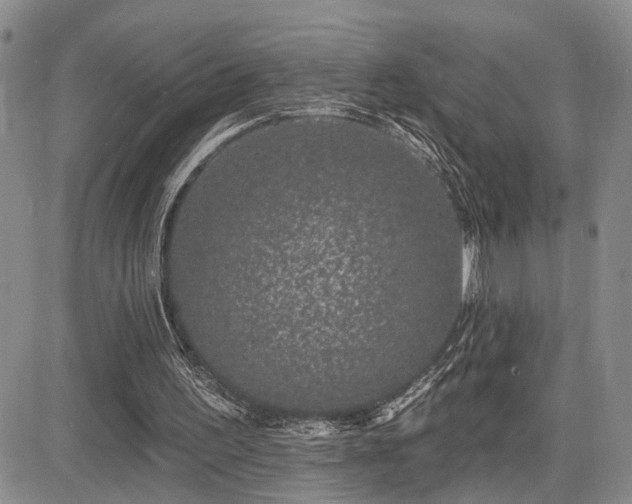 X0000085020195200703051321