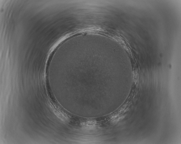 X0000085020196200703051321