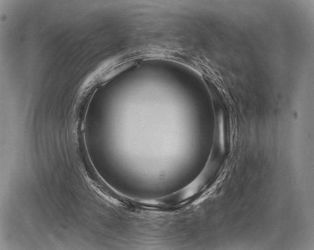 X0000085020197200703051321