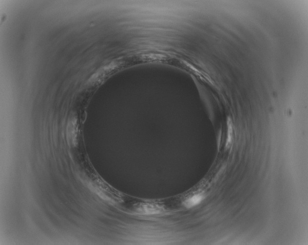 X0000085020223200703051321