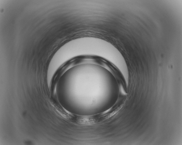 X0000085020239200703051321