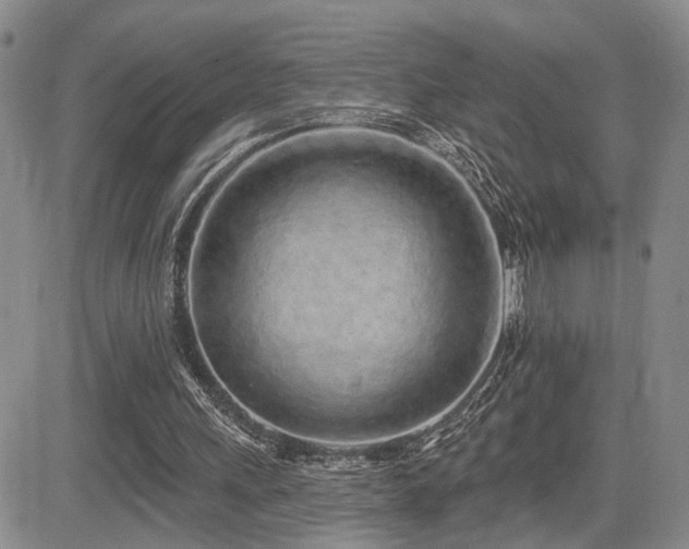 X0000085020243200703051320