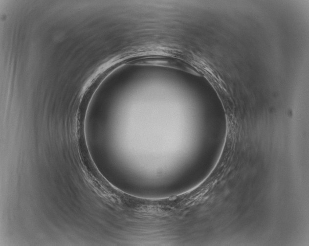 X0000085020244200703051320