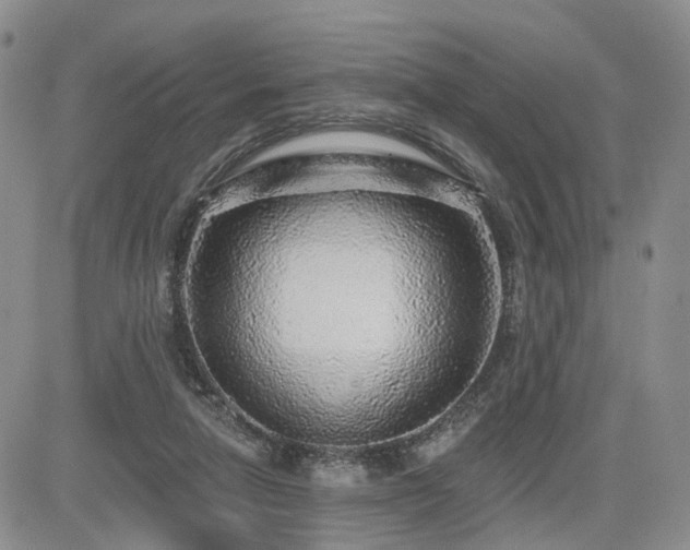 X0000085020258200703051320