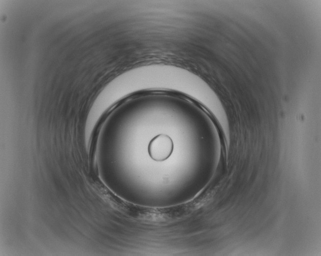 X0000085020276200703051320