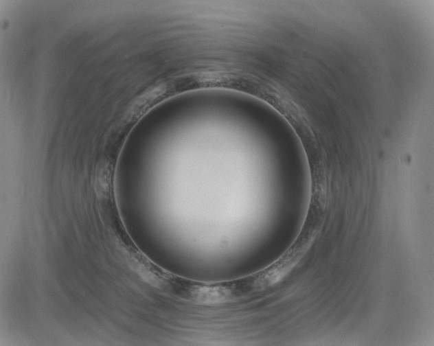 X0000085020277200703051320