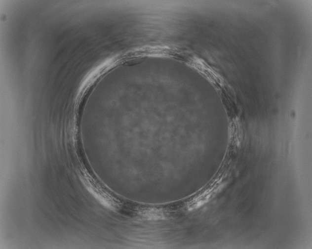 X0000085020293200703051320
