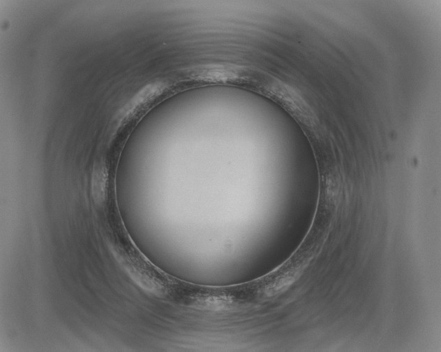 X0000085020304200703051319