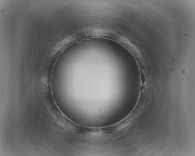 X0000085020306200703051319
