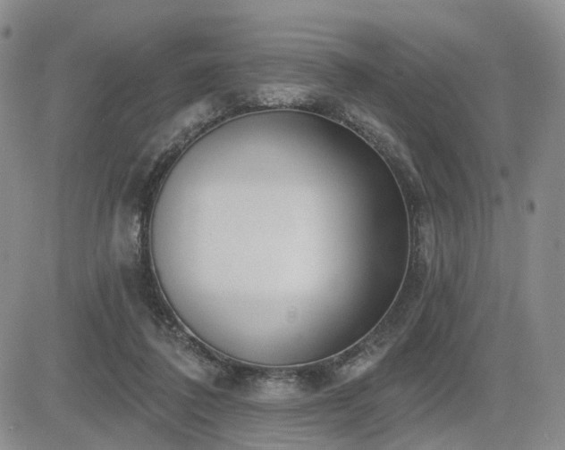 X0000085020308200703051319