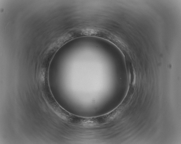 X0000085020315200703051319