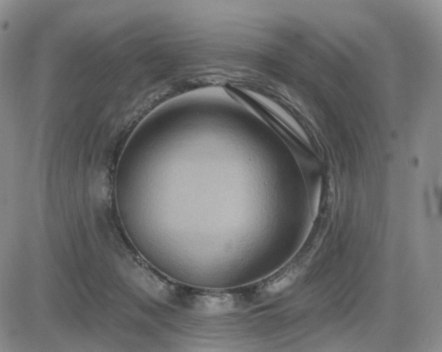 X0000085020317200703051319