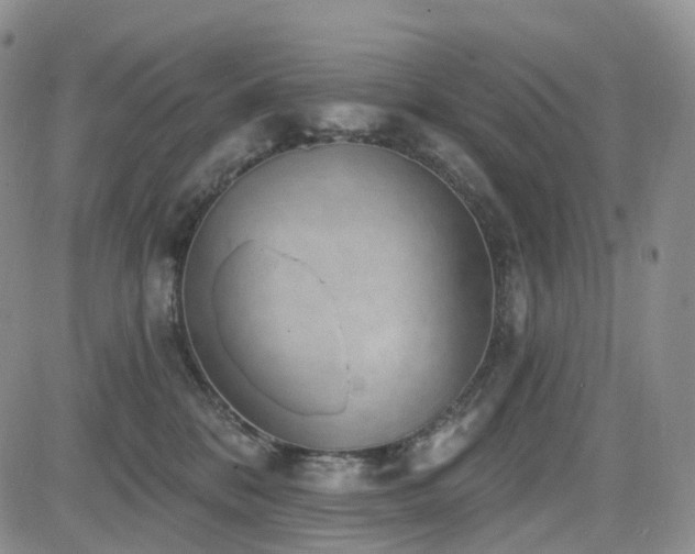 X0000085020328200703051319