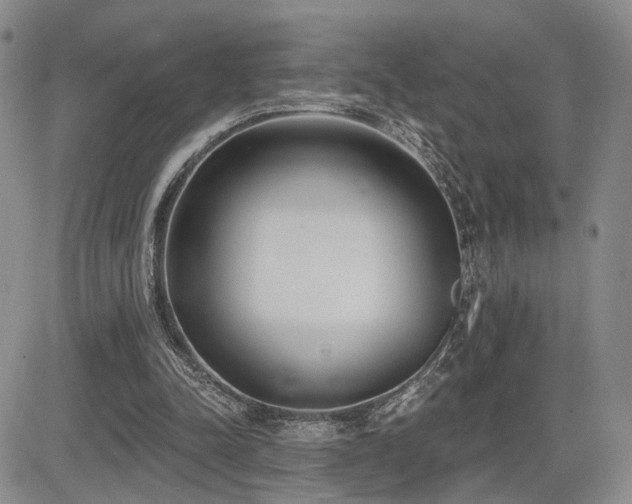 X0000085020342200703051318