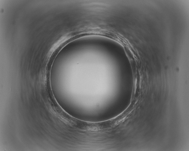 X0000085020344200703051318