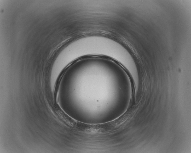 X0000085020356200703051318
