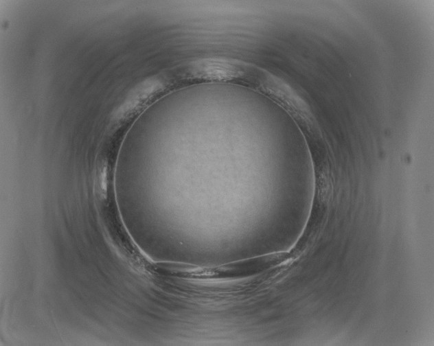 X0000085020358200703051318