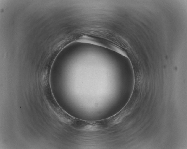 X0000085020364200703051319