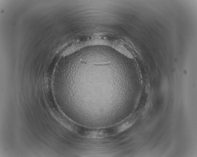 X0000085020366200703051319