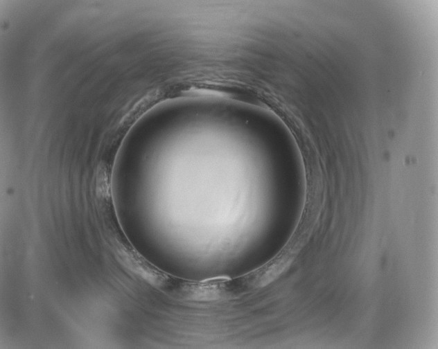 X0000085020384200703051319