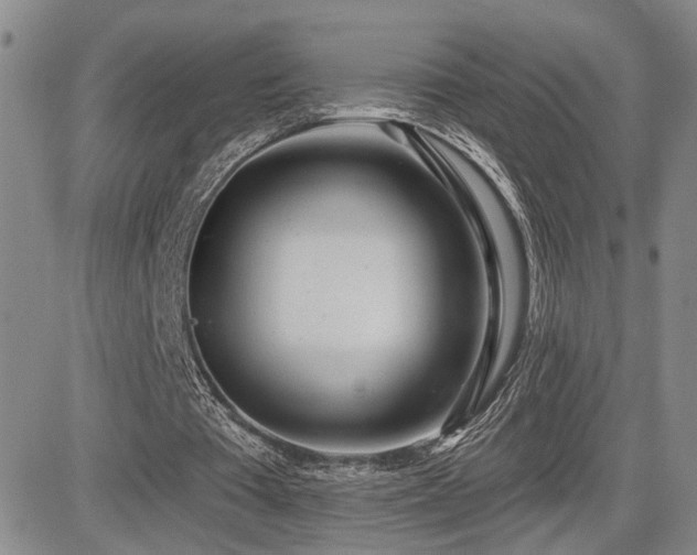 X0000085020385200703051318