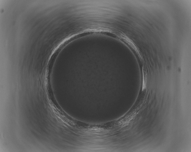X0000085020387200703051318