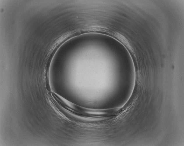 X0000085020389200703051318