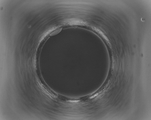X0000085020391200703051318