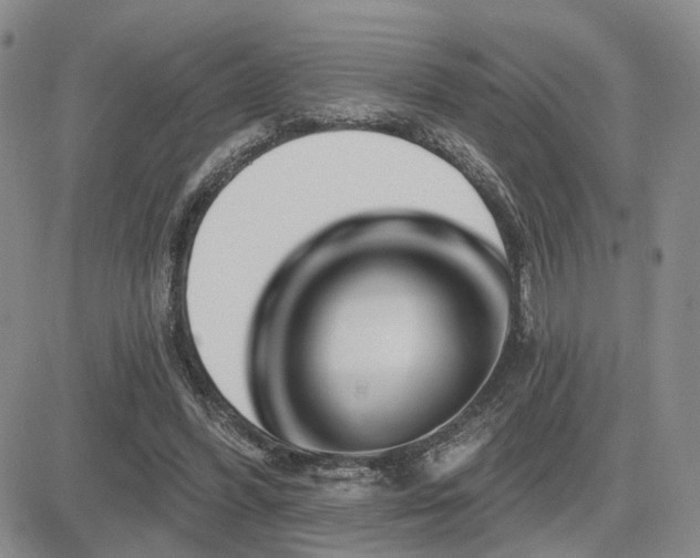 X0000085020396200703051318