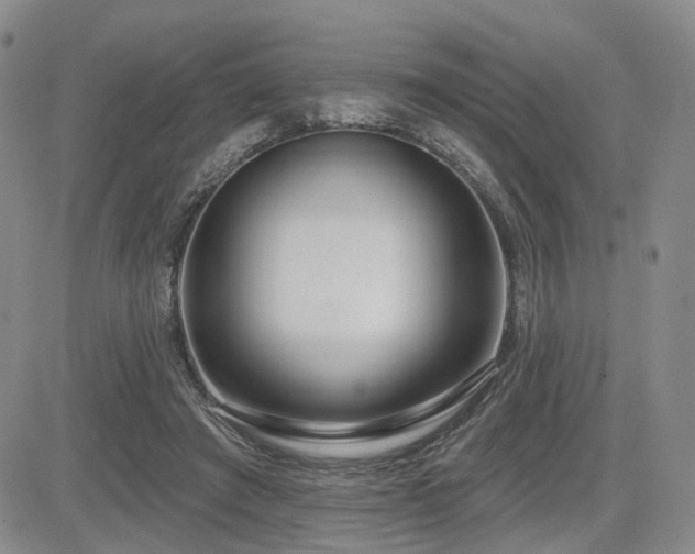 X0000085020401200703051318