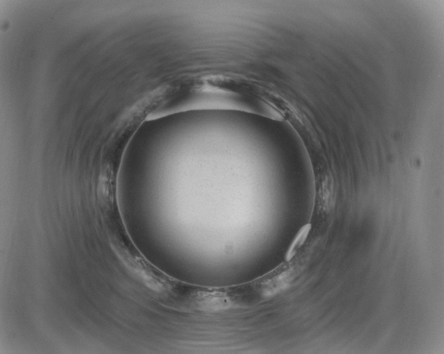 X0000085020424200703051317