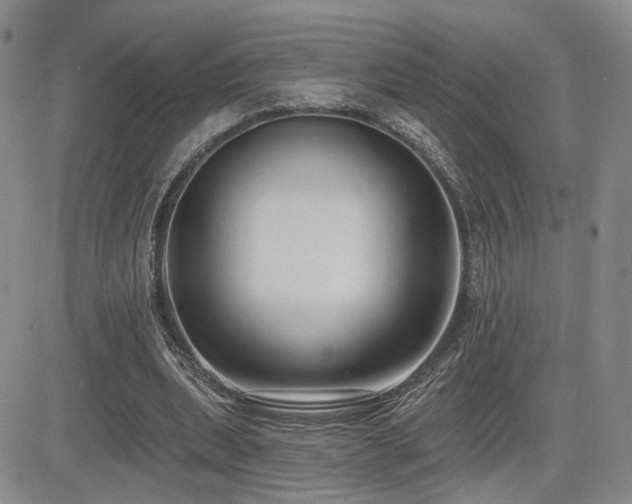 X0000085020439200703051317