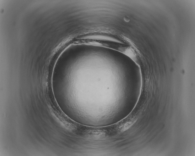 X0000085020443200703051317