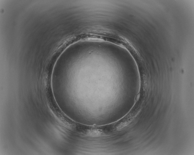 X0000085020451200703051317