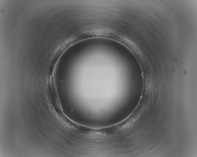 X0000085020453200703051317
