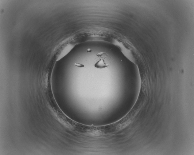 X0000085020454200703051317