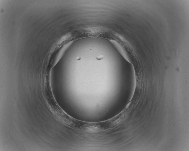 X0000085020456200703051317