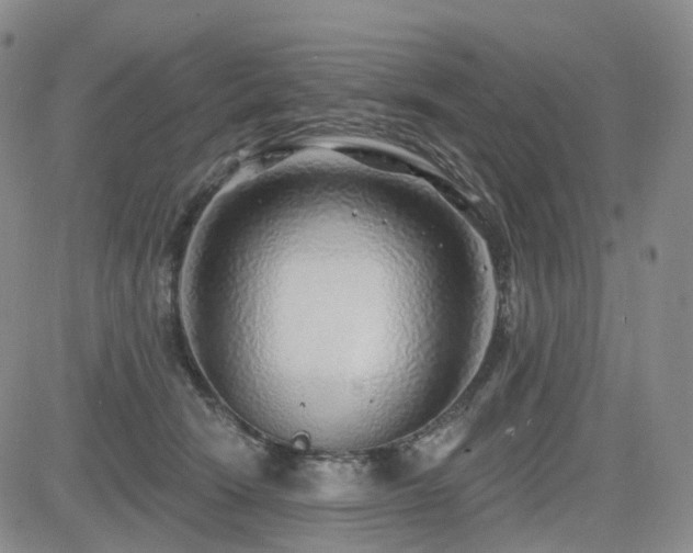 X0000085020466200703051317