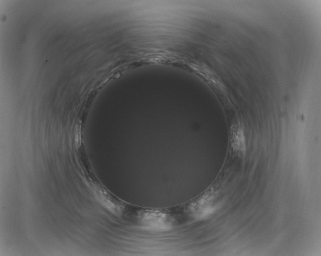 X0000085020471200703051317