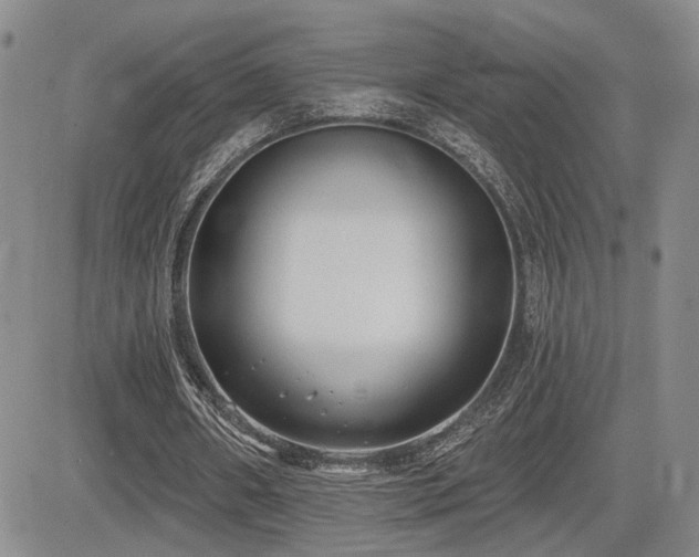 X0000085020482200703051316