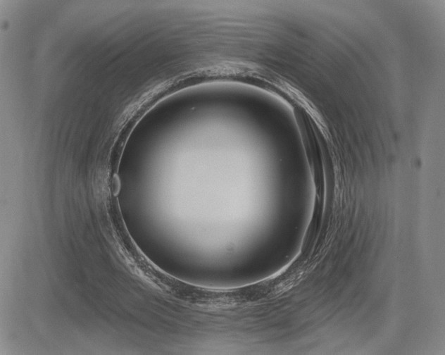 X0000085020485200703051316