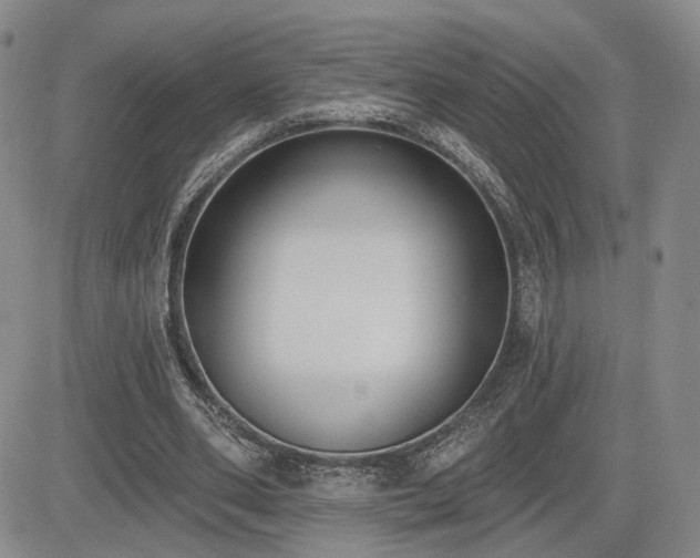 X0000085020486200703051316
