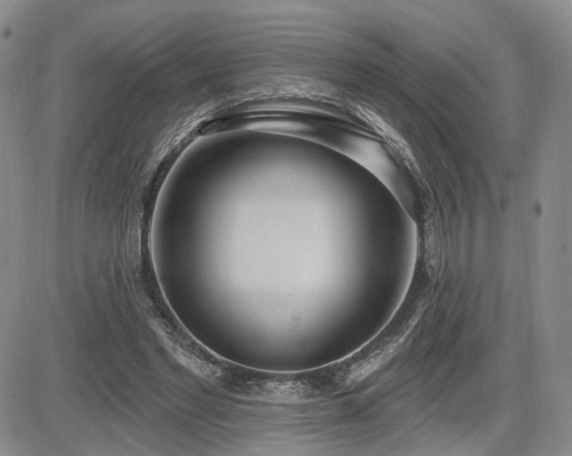 X0000085020493200703051316