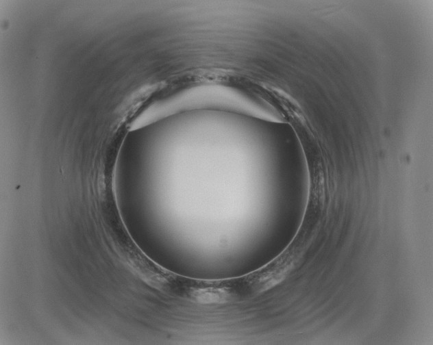 X0000085020508200703051316