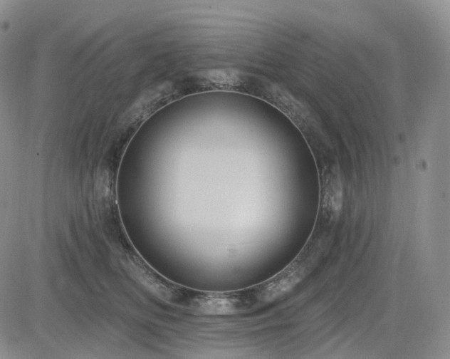X0000085020518200703051316