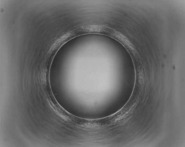 X0000085020537200703051315