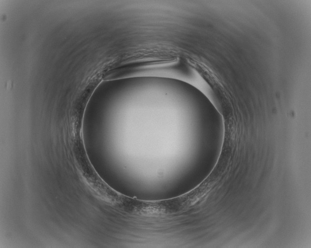 X0000085020546200703051315