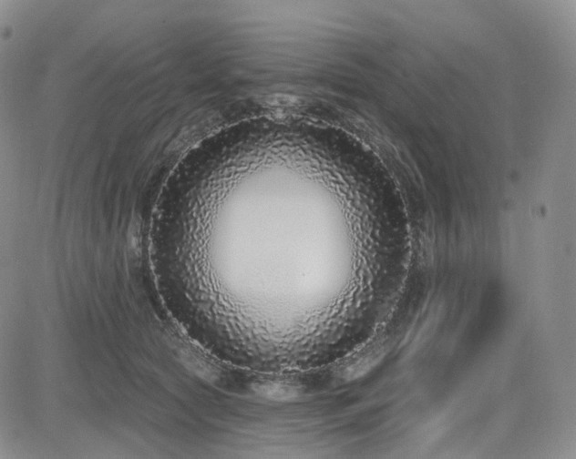 X0000085020561200703051315