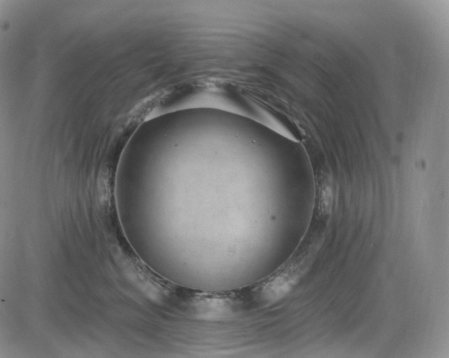 X0000085020620200703051314