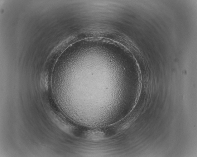 X0000085020644200703051314